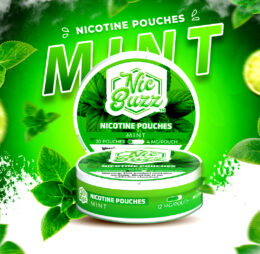 Mint Nicotine Pouch