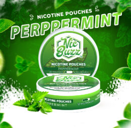 Peppermint Nicotine Pouch