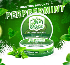 Peppermint Nicotine Pouch