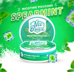 Spear Mint Nicotine Pouch