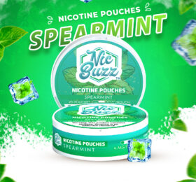 Spear Mint Nicotine Pouch