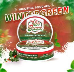 Winter Green Nicotine Pouch