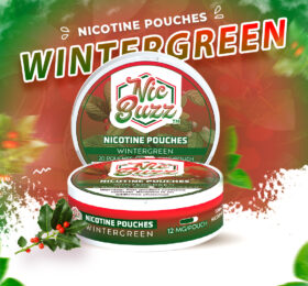 Winter Green Nicotine Pouch